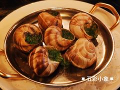 -金蜗牛