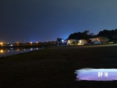 -春花秋色城市公园