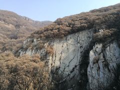 景点-少林寺景区