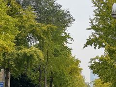-四川大学(望江校区)