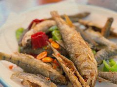 -小小饭店·休闲农庄·安吉松树林里的农家菜