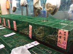 -荔城生鲜盛宴(番禺旗舰店)