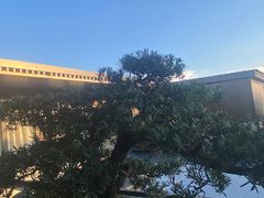 -外滩·云南人家(昆明旗舰店)