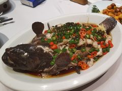 石斑鱼-庆赫隆融合菜馆(群力店)
