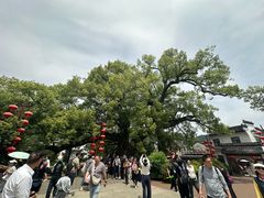 -新安江山水画廊风景区