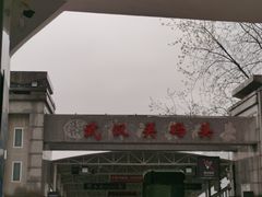 -武汉关码头(轮渡站)