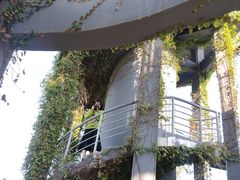 -芒洲湿地公园