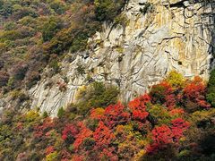 -少华山国家森林公园