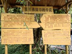 -莫里热带雨林景区
