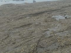 -兴旺渔家