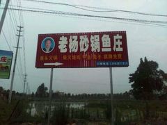 android_upload_pic-老杨砂锅鱼庄