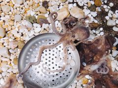 -郑庄脂渣海鲜楼(九水路店)