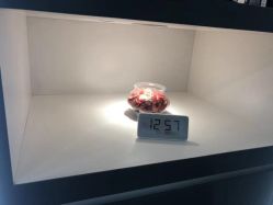 -SEBASTIAN塞巴斯汀