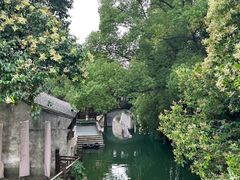 -乌镇景区