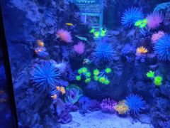 -成都浩海立方海洋公园