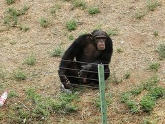 -石家庄市动物园