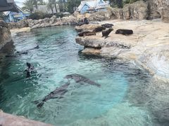 -珠海长隆海洋王国