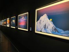 -罗红摄影艺术馆