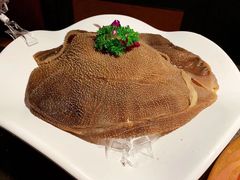-锅说大脸毛肚重庆老火锅(佐阾店)