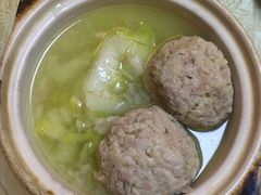 -丁老爷子苏香圆