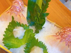 -Mr.Fish鱼鲜生海鲜放题(高德置地冬广场店)