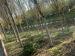 -东郊湿地公园