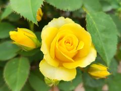 -国际非物质文化遗产博览园