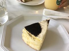 -有猫主题·治愈系猫咖(曾厝垵店)