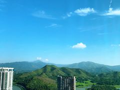 -君悦酒店·大堂酒吧·高空下午茶·暮色微醺