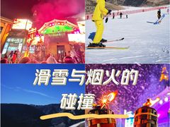 -采薇庄园四季滑雪场