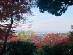 -常寂光寺