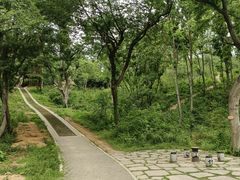 -青龙山国家森林公园