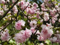 -贵阳市花溪国家城市湿地公园