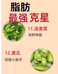 -Fundi张玉珊修身堂·indiba·BTL科技瘦身