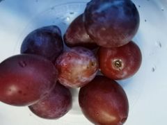 JJ级西梅-西郊国际农产品交易中心