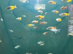 -成都浩海立方海洋公园