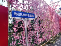 -北京凤凰岭