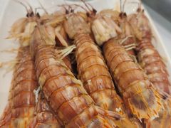 -开海·红岛海鲜虾水饺(石老人店)