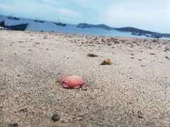 -广鹿岛景区