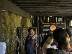 -怀托摩萤火虫洞