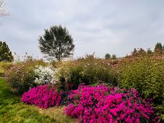 -圣露庄园·露营·烤肉·亲子