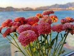 -北崖BAYARD(沙子口店)