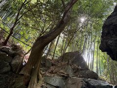 -藏龙百瀑风景区