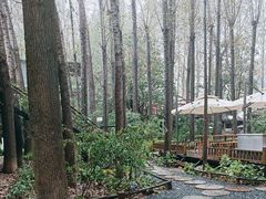 -林间山庄