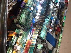 -班赞海鲜市场