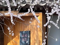 -春风习习