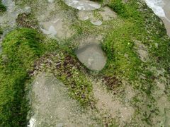 android_upload_pic-白沙湾海滩