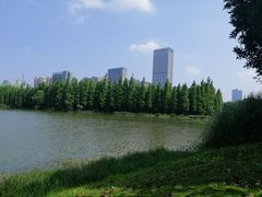 -艾溪湖湿地公园