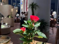-甘思咪哚·云南艺术餐厅(天河广百店)