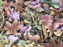 -楠溪江风景名胜区